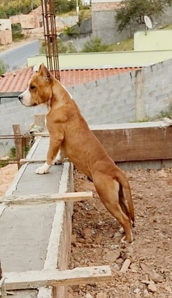Eros