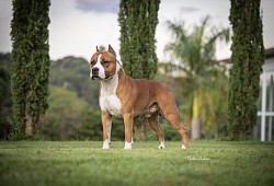 Max 5 meses