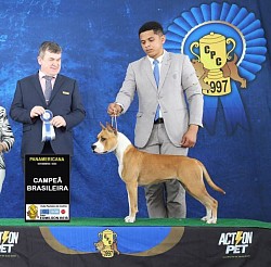 Campeã brasileira